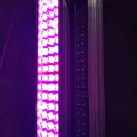 لامپ ال ای دی رشد گیاه|لامپ و چراغ|لنگرود, |دیوار