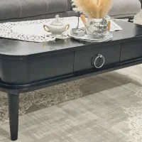 ست جلو مبلی عسلی