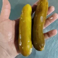 پخش خیارشور فله و حلب|خوردنی و آشامیدنی|مرودشت, نقش رستم|دیوار