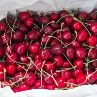 گیلاس|خوردنی و آشامیدنی|شیراز, سرو|دیوار
