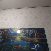 شرکت محمد باغبانی