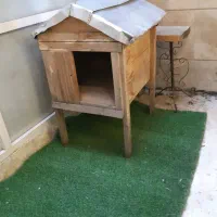 لانه سگ یا گربه چوبی