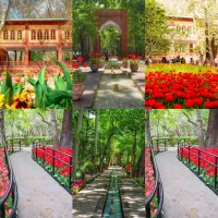 برنجستانک وپل ورسک ۲۵ اردیبهشت