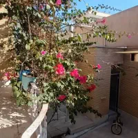 ویلایی  دوطبقه ونیم * دونبش * ۸ خواب|فروش خانه و ویلا|قم, زینبیه|دیوار