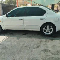ماکسیما 89