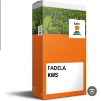 بذر فادیلا ۶ واحد