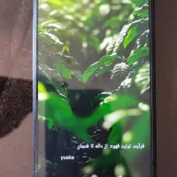 ردمی نت۱۱ اس