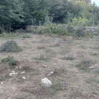 زمین در روستای بالاچلی|فروش زمین و ملک کلنگی|فاضل آباد, |دیوار