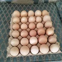 تخم‌مرغ گلپایگانی محلی