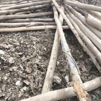 دار چنار|مصالح و تجهیزات ساختمان|سروآباد, |دیوار