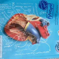 کتاب تست  زیست شناسی دهم خیلی سبز..شیمی۱۴۰۳ دهم