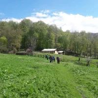 راهنمایی میخوام|فعالیت داوطلبانه|تهران, آهنگ|دیوار