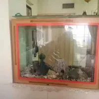 آکواریوم ماهی