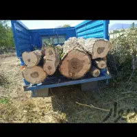 خدمات باغبانی.خرید چوب.چالکود.سم پاشی.تیلر