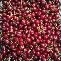 گیلاس سیاه