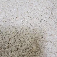 نیم دانه صدری درجه یک