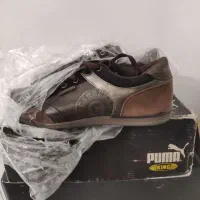 کفش کتونی و یک جفت زنانه چرم