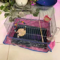 قفس کوچک برای پرنده