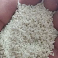 برنج نیمدانه طارم هاشمی روستا