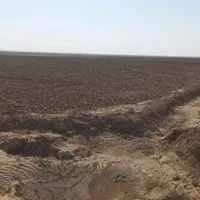 زمین کشاورزی ۱۰هکتار