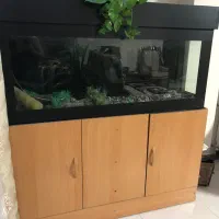 آکواریوم با شاسی بسیار محکم و بدنه ۳ طرف ام دی اف