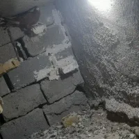 بنحیمقمخیوفنبن۲|پرنده|اهواز, زرگان|دیوار
