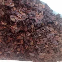 کشمش آفتاب خشک کاشمر (بدون تیزآب)