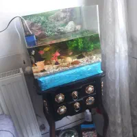 اکواریوم به همراه وسایل