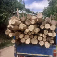 خریدار چوب|خدمات باغبانی و درختکاری|اردبیل, |دیوار