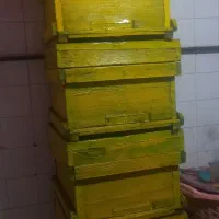 کندو‌زنبور‌عسل‌و‌قاب