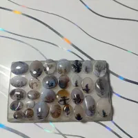 ۲۹ تاسنگ شجر