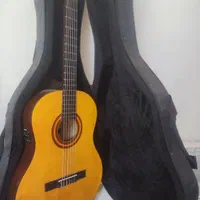 گیتار درجه یک حرفه ای|گیتار، بیس، امپلیفایر|سبزوار, کوی بهار|دیوار