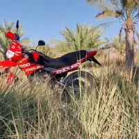 موتر تریل رادینسون