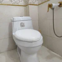 توالت فرنگی