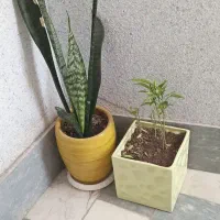 حراج تعدادی وسایل