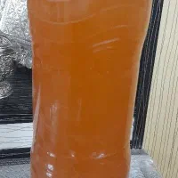 سبزیجات خشک ابغوره .سرکه. شیره انگور با کیفیت