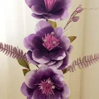 کلکسیونی