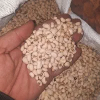 برنج دل|خوردنی و آشامیدنی|اهر, |دیوار