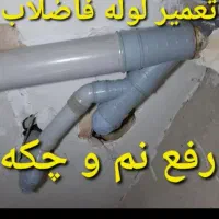 نشت یابی و لوله کشی با دستگاه پیشرفته و تعمیرات|خدمات پیشه و مهارت|کرمانشاه, |دیوار