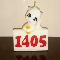 شمع نماد سال ۱۴۰۵