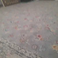 فرش کاشان ۷۰۰ شانه|فرش|تربتحیدریه, فرمانداری|دیوار