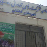 فروش پیاز زعفران به قیمت تعاونی|خوردنی و آشامیدنی|کاشان, امیرکبیر|دیوار