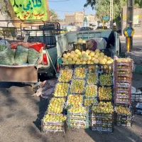 گلابی اسفناج محلی