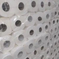 دستمال کاغذی لوله ای|مواد شوینده و دستمال کاغذی|ساوه, |دیوار