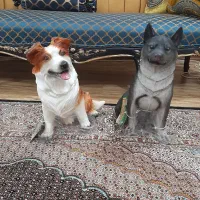 سگ سیلیکونی گوشتی ۴۰ سانتی خارجی آک