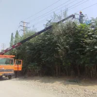 خدمات بالابر و جرثقیل