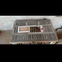 دنبال  یدونه قفس کفتر مسافتی هستم