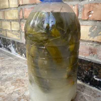 انواع ترشی|عمدهفروشی|ری, علایین|دیوار