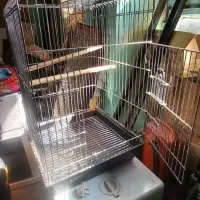 قفس|لوازم جانبی حیوانات|مشگین شهر, |دیوار