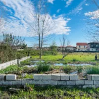 ۲۳۲ متر زمین بافت و سند کلارآباد